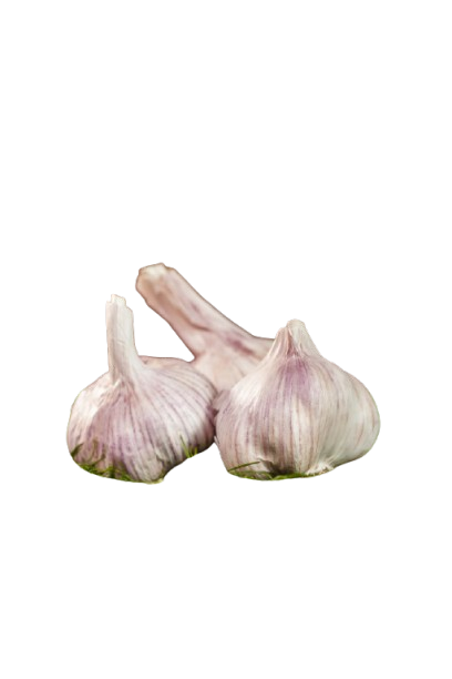 Premium Organic Garlic